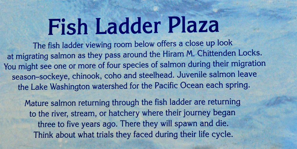 sign: Fish Ladder Plaza
